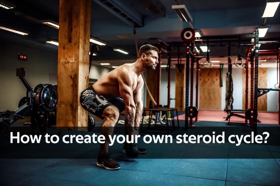 steroid cycle app
