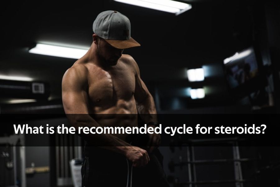 steroid cycle app